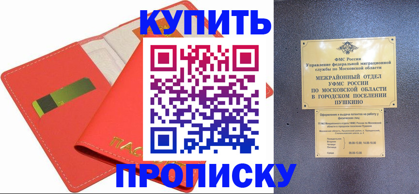 временная регистрация надежно в Курске
